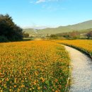 가조온천 이미지