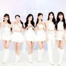 투로지스 이미지