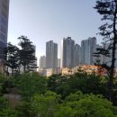 롯데1번지공인중개사사무소 매일경제