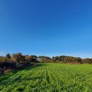 수산보건진료소 이미지