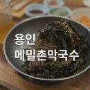 용인 이동 맛집, 더워지면 역시 막국수! 메밀촌 막국수 재방문 후기