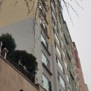 강남-190 이미지