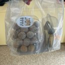 몽땅멍냥 이미지