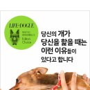 강아지가 핥는 이유 이미지