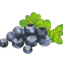 눈지킴이안경원 이미지