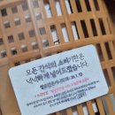 뿌잉베베