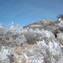 늘푸른 관광농원 이미지