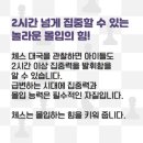 아이체스 이미지