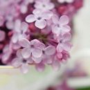 행복한 날 이미지