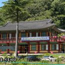 이너피스스테이 | [묘적사] 남양주 템플스테이 1탄 / 고양이 천국