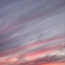 영어 회화:기초 이미지