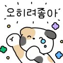 카페치엘로
