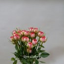 장미데코