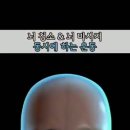 도리도리