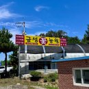 플라워류꽃농원 | 오산꽃집 금성꽃농원 꽃다발 꽃선물 추천