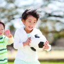 Leader Gym 이미지