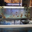 아미2길 이미지