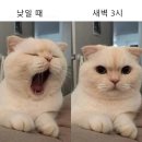 소소하게 이미지