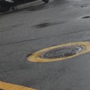 마이 단독 이미지