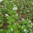 한림정역 이미지