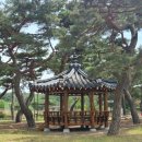 송라중학교 이미지