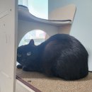 잔다냥 천안점 이미지