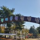 문암생태공원 캠핑장 이미지