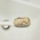 석약국 | 치탄플러스 후기 내돈내산 치석제거 효과 30일 사용해봤더니