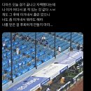 디아즈 이거 좀 짠하다.. 이미지