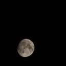 왕산골숲속 이미지