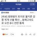 [속보] 방화범이 토치로 불지른 강릉 옥계 산불 확산…동해고속도로 오전 8시 전면 통제 이미지