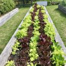 예일농장 이미지