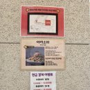 목동 타코야키 바른타코 제대로된 타코야키 카페 내돈내산 솔직후기