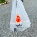 금화왕돈까스 경산진량점 | 경산진량맛집,경산추어탕,대구추어탕맛집 &#39;송담추어탕진량점&#39;