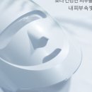 에코홈케어 이미지