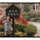 우유샘목장 네이버블로그