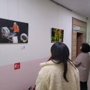 지역 예술인 작품 전시 이미지