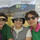 밀양현대주유소 이미지