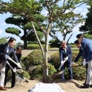 시장 앞 공터 이미지