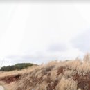 성읍리-21 이미지