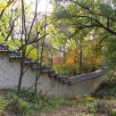 [서울] 도심의 숨겨진 상큼한 뒷길, 창덕궁 후원 뒷길 (후원 돌담길, 명륜동 장면가옥) 이미지