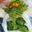 대왕농장1 이미지