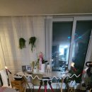 인오토 서프스탠드 언박싱 후기
