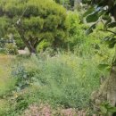 모리아펜션 이미지