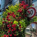 한강공일오비(015B) 이미지