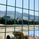 엄궁유수지체육공원 이미지