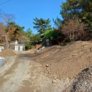 청룡사 등산로 이미지