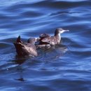 금성농장 이미지