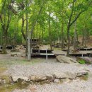 토함산 자연휴양림 이미지