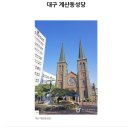파크우드관광호텔 | 대구 《삼성라이온즈파크》 &amp; 《라이온즈팀스토어》
